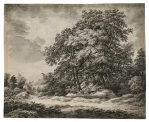 Waldlandschaft (recto), ca. 1838-1848